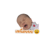 841265632