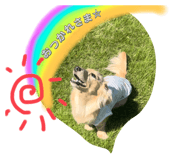 841266691