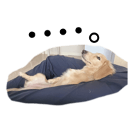 841266697