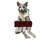 841266817
