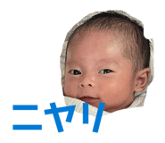 841266877