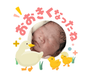 841267423