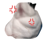 841267649