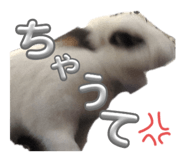 841267651
