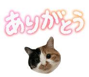 841267840