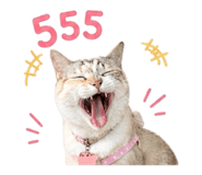 841268395