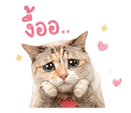 841268403