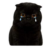 841269967