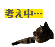 841269993