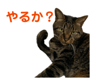 841269995
