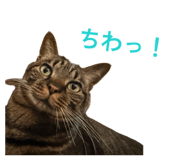 841269997