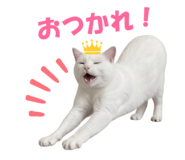 841270012