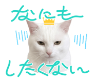 841270036
