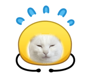 841270037