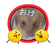 841270223