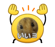 841270224