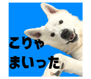 841270961