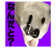 841270967