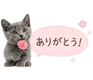 841271034
