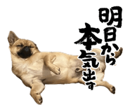 841271307