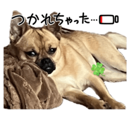 841271313