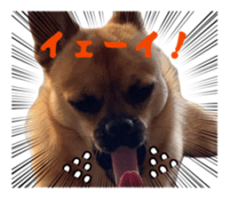 841271326