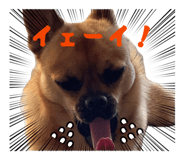 841271326