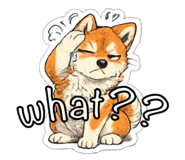 841272044