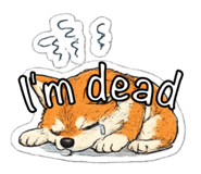 841272058