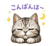 841272426