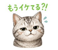 841272432
