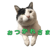 841272450
