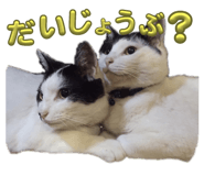 841272456