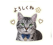 841272957