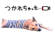 841273523
