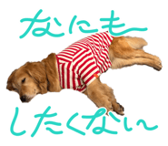 841273531