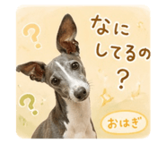 841273621