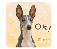 841273624