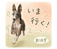 841273625
