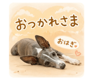 841273629