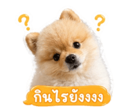 841273715