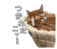 841274250