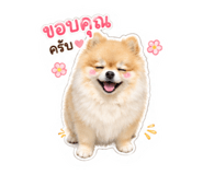 841275365