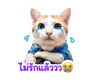 841276765