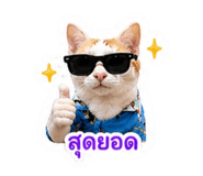 841276771