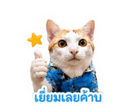 841276774