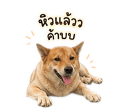 841276999
