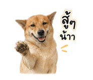 841277008
