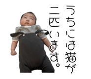 841277630