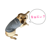 841277642